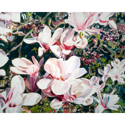 Magnolias blancs